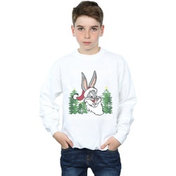Vêtements Garçon Sweats Dessins Animés Bugs Bunny Christmas Fair Isle Blanc