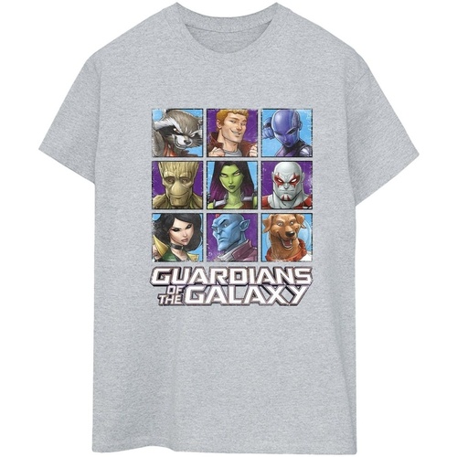 Vêtements Femme T-shirts manches longues Guardians Of The Galaxy Character Squares Gris