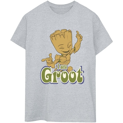 Vêtements Femme T-shirts manches longues Guardians Of The Galaxy Groot Dancing Gris
