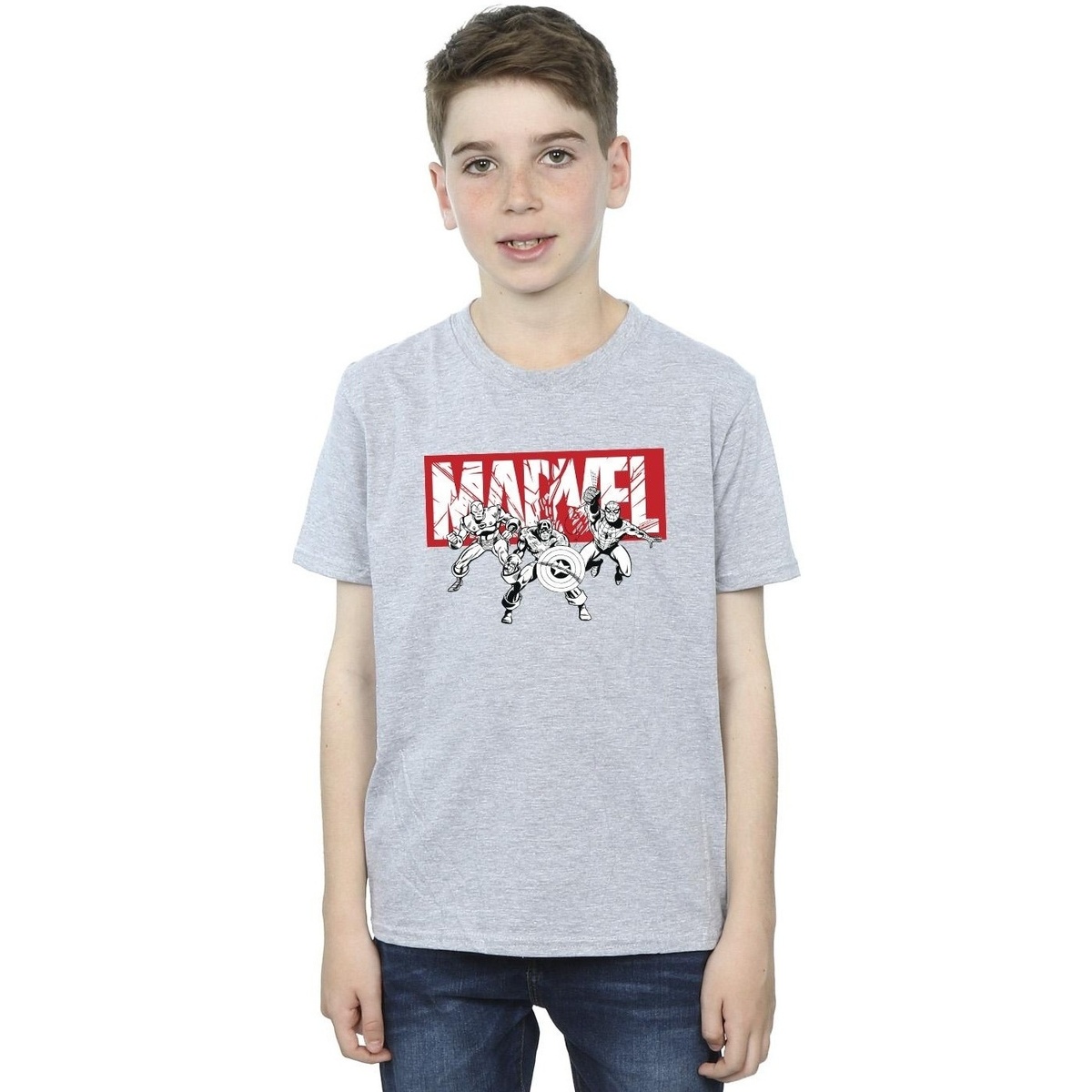 Vêtements Garçon T-shirts manches courtes Marvel Comics Hero Group Gris