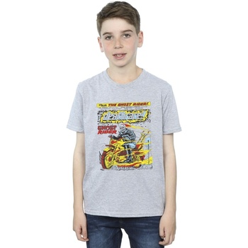 Vêtements Garçon T-shirts manches courtes Marvel Ghost Rider Chest Deathrace Gris