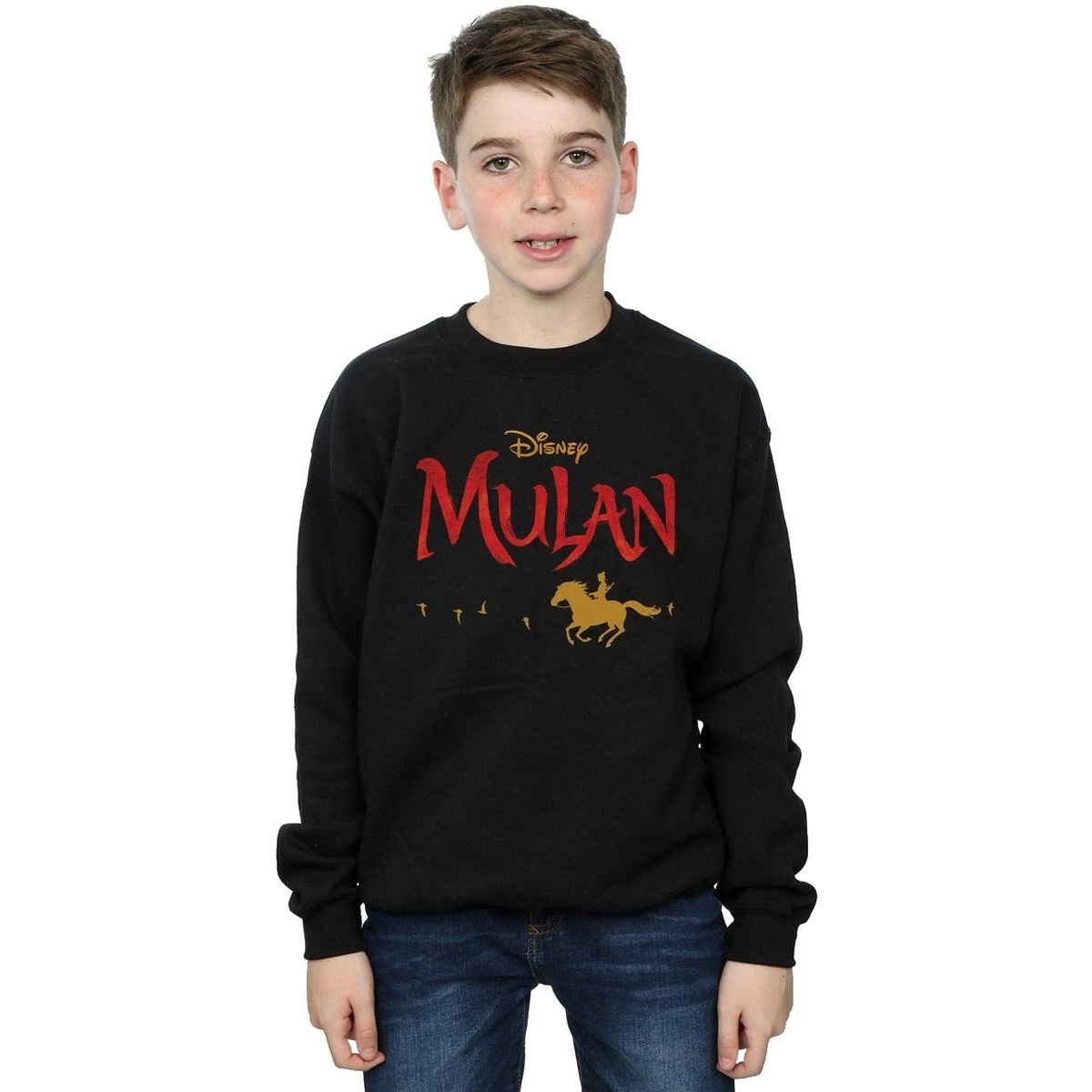Vêtements Garçon Sweats Disney Mulan Movie Logo Noir
