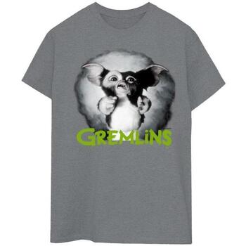 Vêtements Femme T-shirts Norse manches longues Gremlins Scared Green Gris