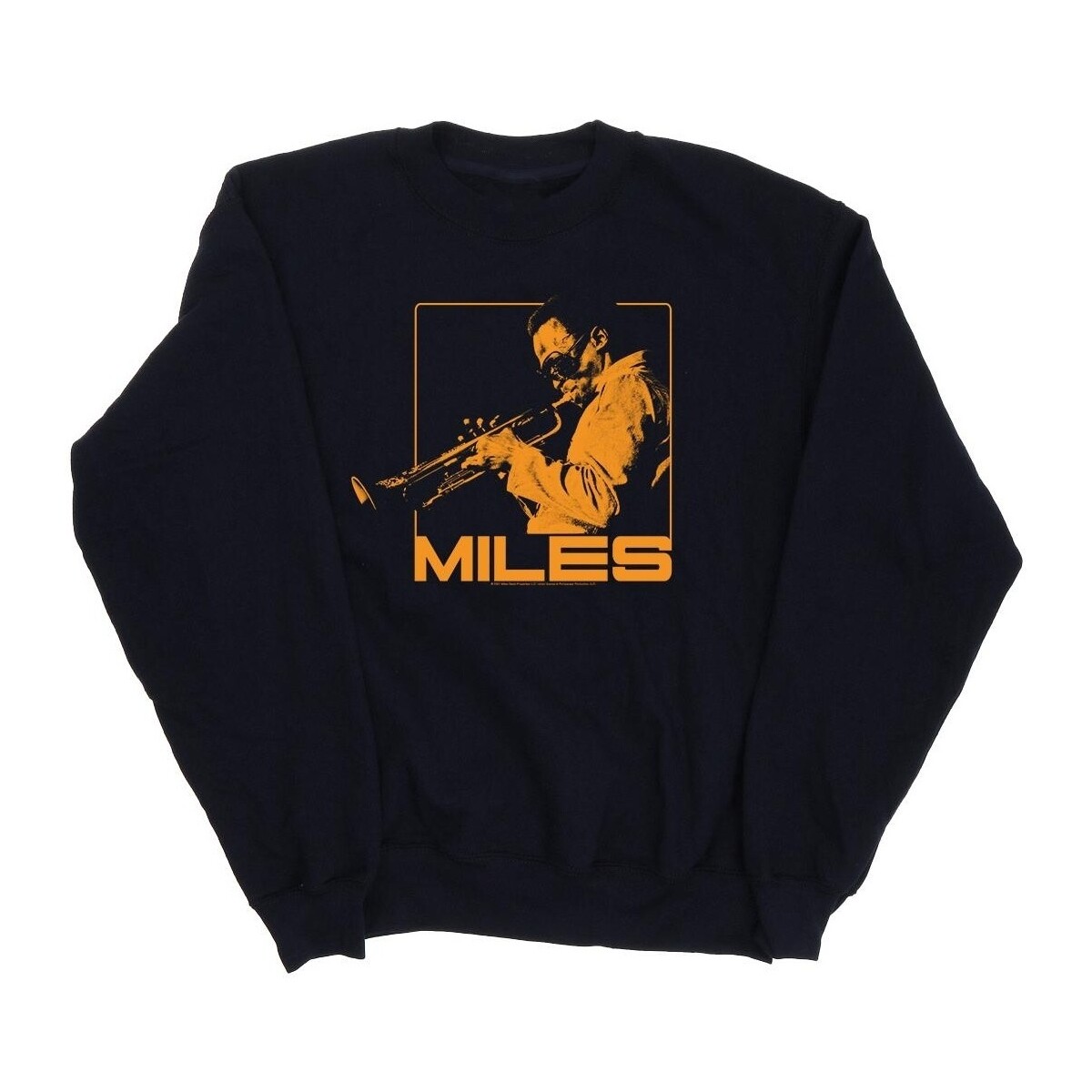 Vêtements Fille Sweats Miles Davis  Bleu