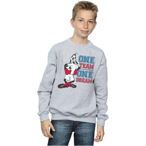 Vêtements Garçon Sweats Disney Goofy One Team One Dream Gris