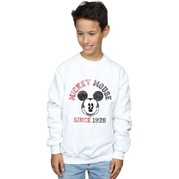 Vêtements Garçon Sweats Disney Minnie Mouse Since 1928 Blanc
