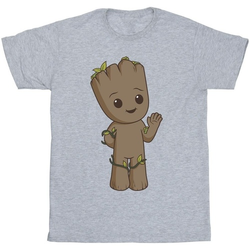 Vêtements Garçon T-shirts manches courtes Marvel I Am Groot Cute Groot Gris