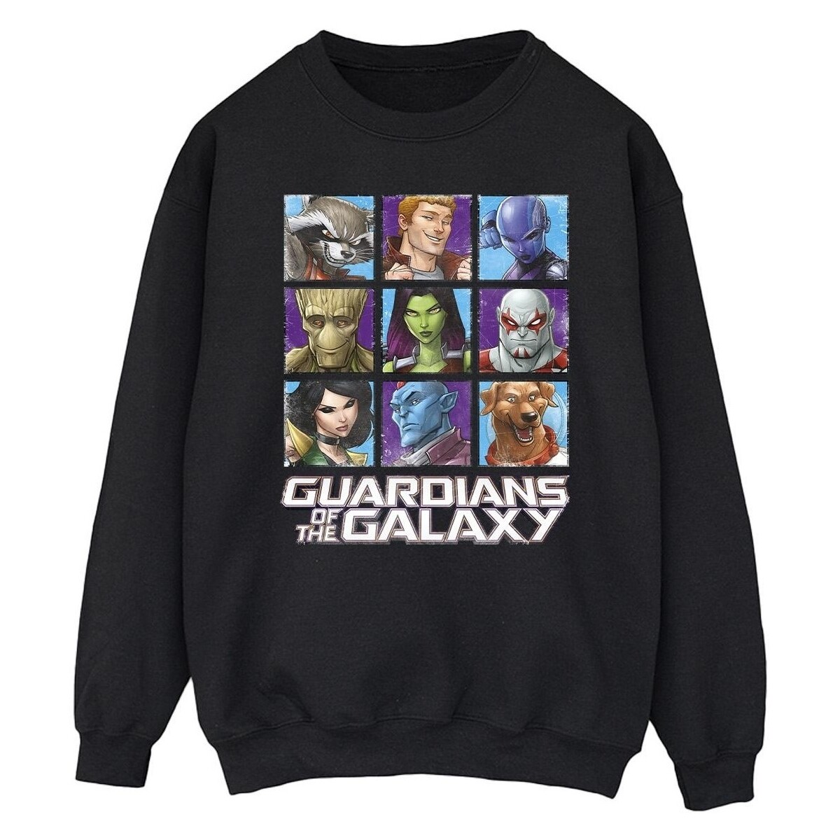 Vêtements Homme Sweats Guardians Of The Galaxy Character Squares Noir