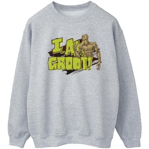 Vêtements Homme Sweats Guardians Of The Galaxy I Am Groot Gris