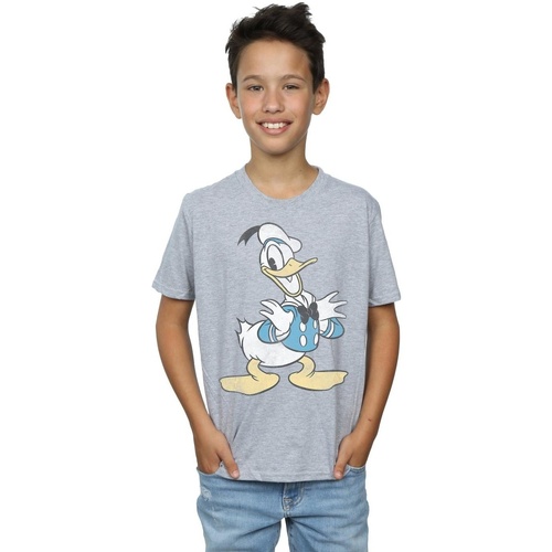 Vêtements Garçon T-shirts manches courtes Disney Donald Duck Posing Gris