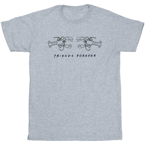 Vêtements Homme T-shirts manches longues Friends Lobster Logo Gris