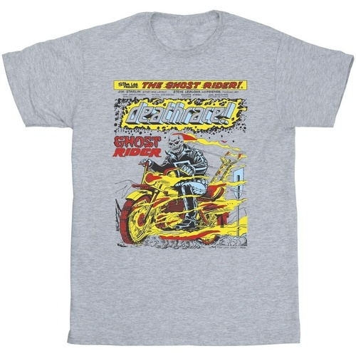 Vêtements Fille T-shirts manches longues Marvel Ghost Rider Chest Deathrace Gris