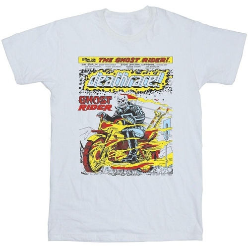 Vêtements Fille T-shirts manches longues Marvel Ghost Rider Chest Deathrace Blanc