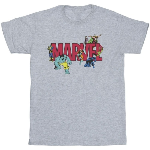 Vêtements Fille T-shirts manches longues Marvel Comics Characters Gris
