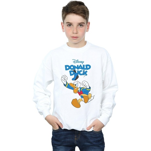 Vêtements Garçon Sweats Disney Donald Duck Furious Donald Blanc