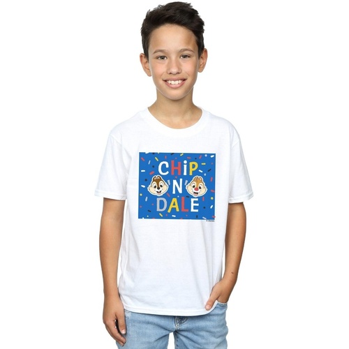 Vêtements Garçon T-shirts manches courtes Disney Chip N Dale Blue Frame Blanc