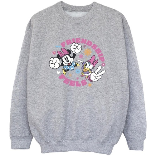 Vêtements Garçon Sweats Disney Minnie Mouse Daisy Friendship Gris