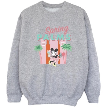 Vêtements Garçon Sweats Disney Minnie Mouse Spring Palms Gris
