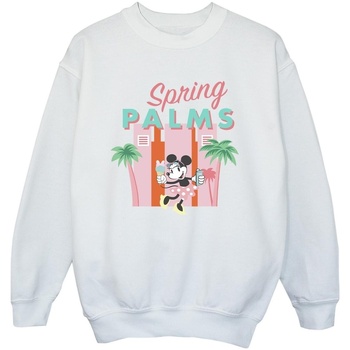 Vêtements Garçon Sweats Disney Minnie Mouse Spring Palms Blanc