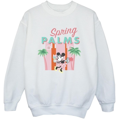 Vêtements Garçon Sweats Disney Minnie Mouse Spring Palms Blanc