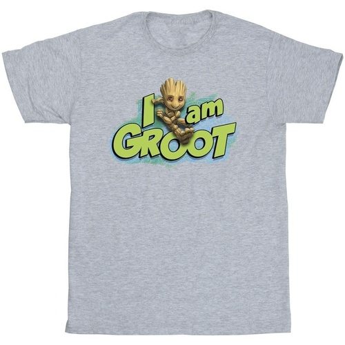 Vêtements Homme T-shirts manches longues Marvel Guardians Of The Galaxy I Am Groot Jumping Gris