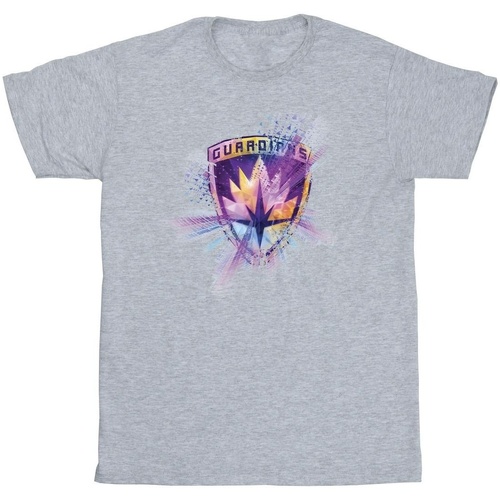 Vêtements Homme T-shirts manches longues Marvel Guardians Of The Galaxy Abstract Star Lord Gris