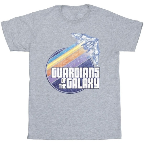 Vêtements Homme T-shirts manches longues Guardians Of The Galaxy Badge Rocket Gris