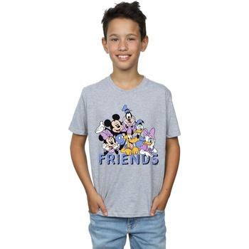 Vêtements Garçon T-shirts manches courtes Disney Classic Friends Gris