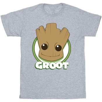 Vêtements Homme T-shirts manches longues Guardians Of The Galaxy Groot Badge Gris