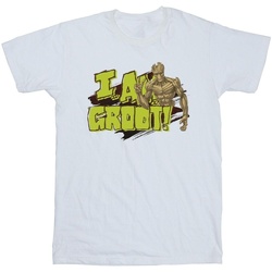Vêtements Homme T-shirts manches longues Guardians Of The Galaxy I Am Groot Blanc