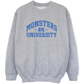 Vêtements Garçon Sweats Disney Monsters University Logo Gris