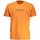 Vêtements Homme T-shirts manches courtes Napapijri NP0A4GDR-S-BOX-SS-3 Orange