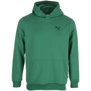 Vêtements Homme Sweats Puma Made In France Hoodie Vert