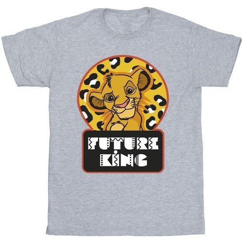 Vêtements Fille T-shirts manches longues Disney The Lion King Future Simba Gris