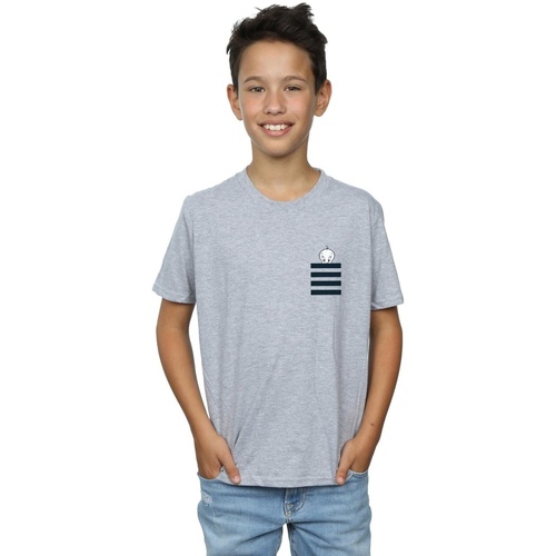 Vêtements Garçon T-shirts manches courtes Dessins Animés Tweety Pie Striped Faux Pocket Gris