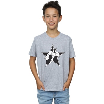Vêtements Garçon T-shirts manches courtes Dessins Animés Sylvester Mono Star Gris