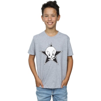 Vêtements Garçon T-shirts manches courtes Dessins Animés Tweety Pie Mono Star Gris