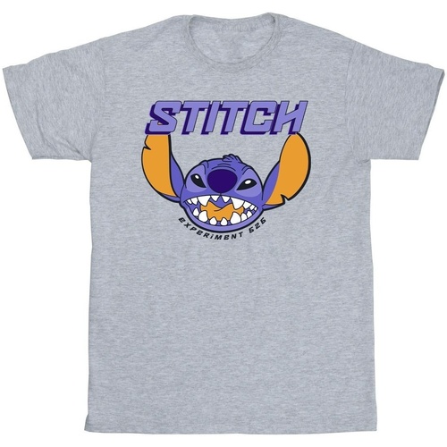 Vêtements Fille T-shirts manches longues Disney Lilo And Stitch Purple Gris