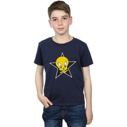 Vêtements Garçon T-shirts manches courtes Dessins Animés Tweety Pie Star Bleu