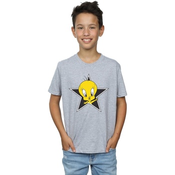 Vêtements Garçon T-shirts manches courtes Dessins Animés Tweety Pie Star Gris