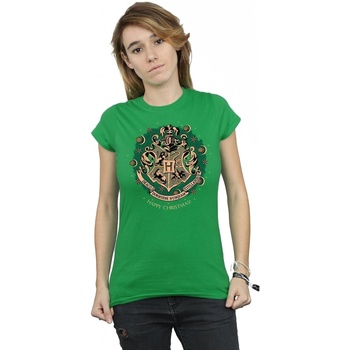 Vêtements Femme T-shirts manches longues Harry Potter Christmas Wreath Vert