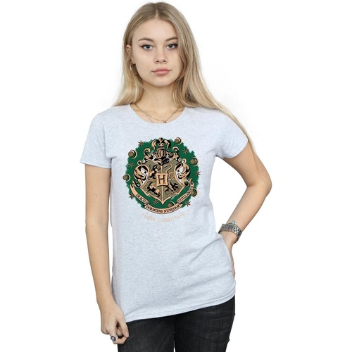 Vêtements Femme T-shirts manches longues Harry Potter Christmas Wreath Gris