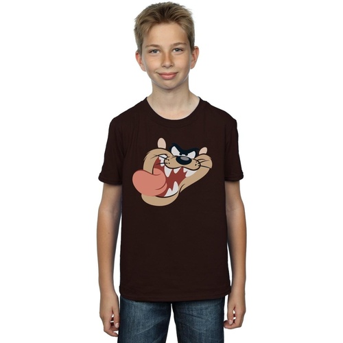 Vêtements Garçon T-shirts manches courtes Dessins Animés Tasmanian Devil Face Multicolore