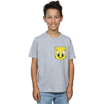 Vêtements Garçon T-shirts manches courtes Dessins Animés Tweety Pie Face Faux Pocket Gris
