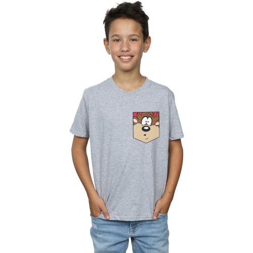 Vêtements Garçon T-shirts manches courtes Dessins Animés Tasmanian Devil Face Faux Pocket Gris