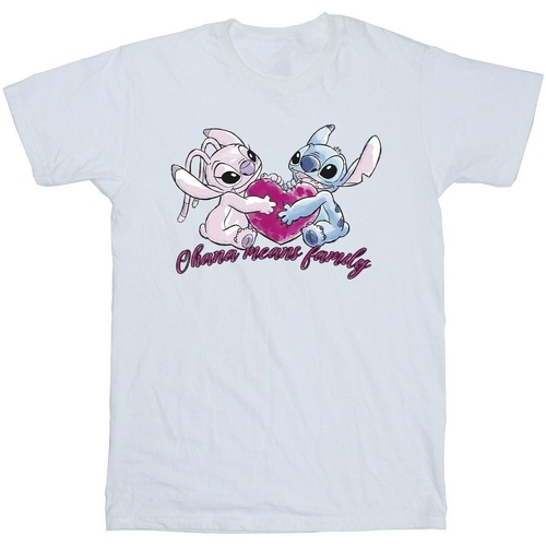 Vêtements Fille T-shirts manches longues Disney Lilo And Stitch Ohana Heart With Angel Blanc