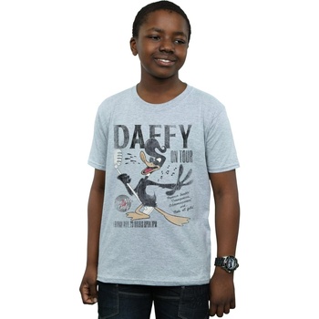 Vêtements Garçon T-shirts manches courtes Dessins Animés Daffy Duck Concert Gris
