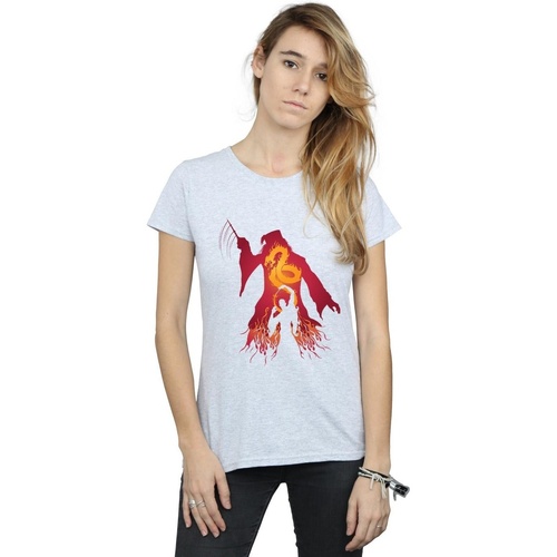 Vêtements Femme T-shirts manches longues Harry Potter Dumbledore Silhouette Gris
