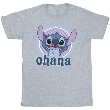 Vêtements Fille T-shirts manches longues Disney Lilo And Stitch Ohana Circle Gris