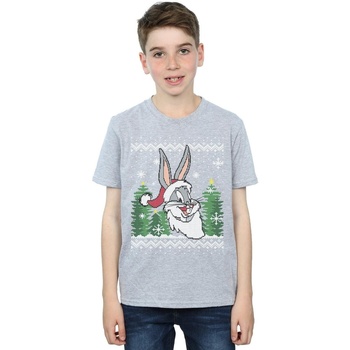Vêtements Garçon T-shirts manches courtes Dessins Animés Bugs Bunny Christmas Fair Isle Gris